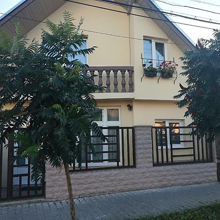 Five Villa Ludus Bagian luar foto
